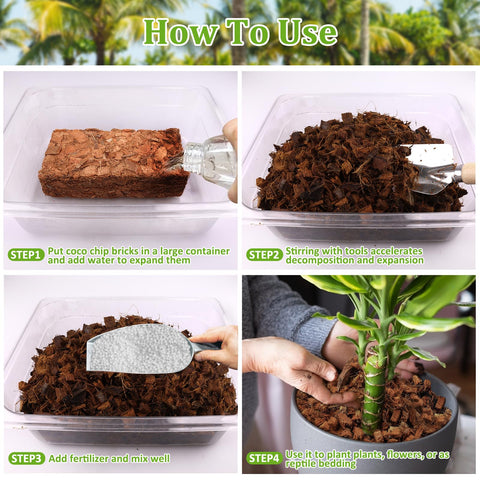 RiAre Coco Chips used as orchid-friendly planting medium with good drainage.