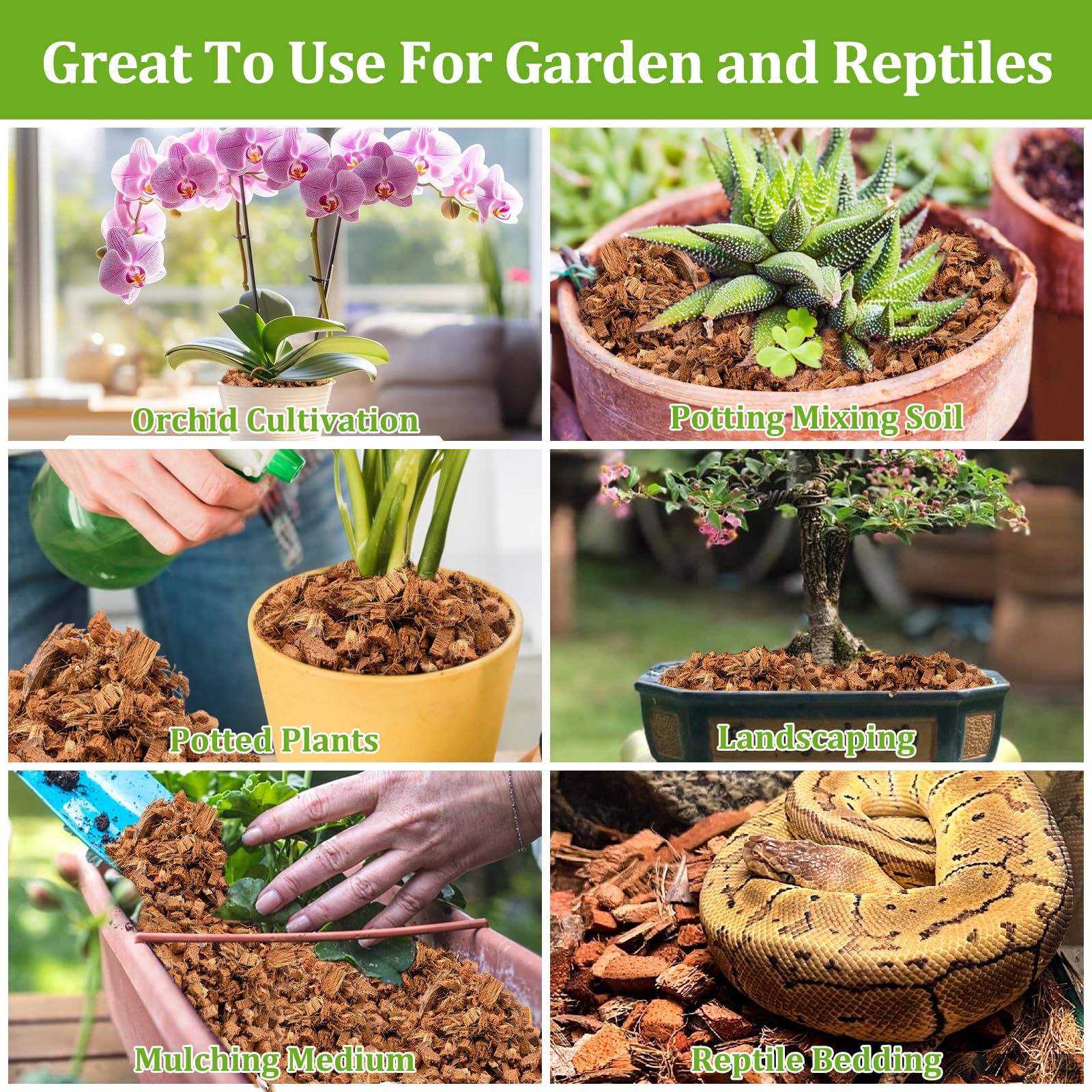 RiAre Coco Chips mulch for indoor and outdoor plant care in containers.