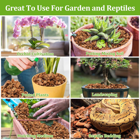 RiAre Coco Chips mulch for indoor and outdoor plant care in containers.