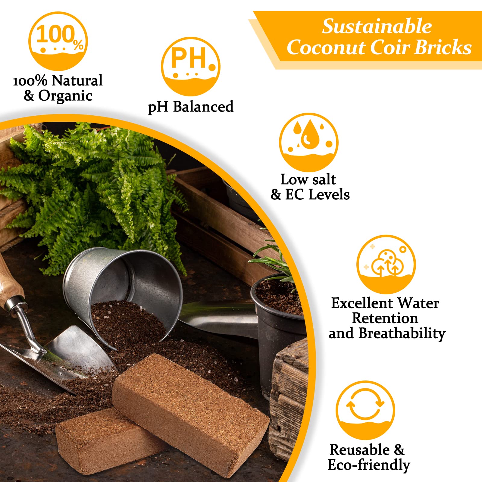 Riare coco coir brick expansion action demonstrates quick substrate swelling