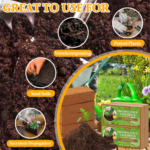 Riare coco coir brick moisture absorption hint for well-drained planting medium