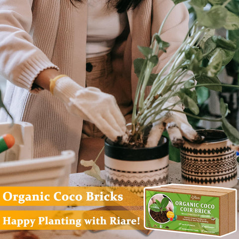 Riare coco coir brick multi-use for raised beds, potting mixes, and vermicomposting