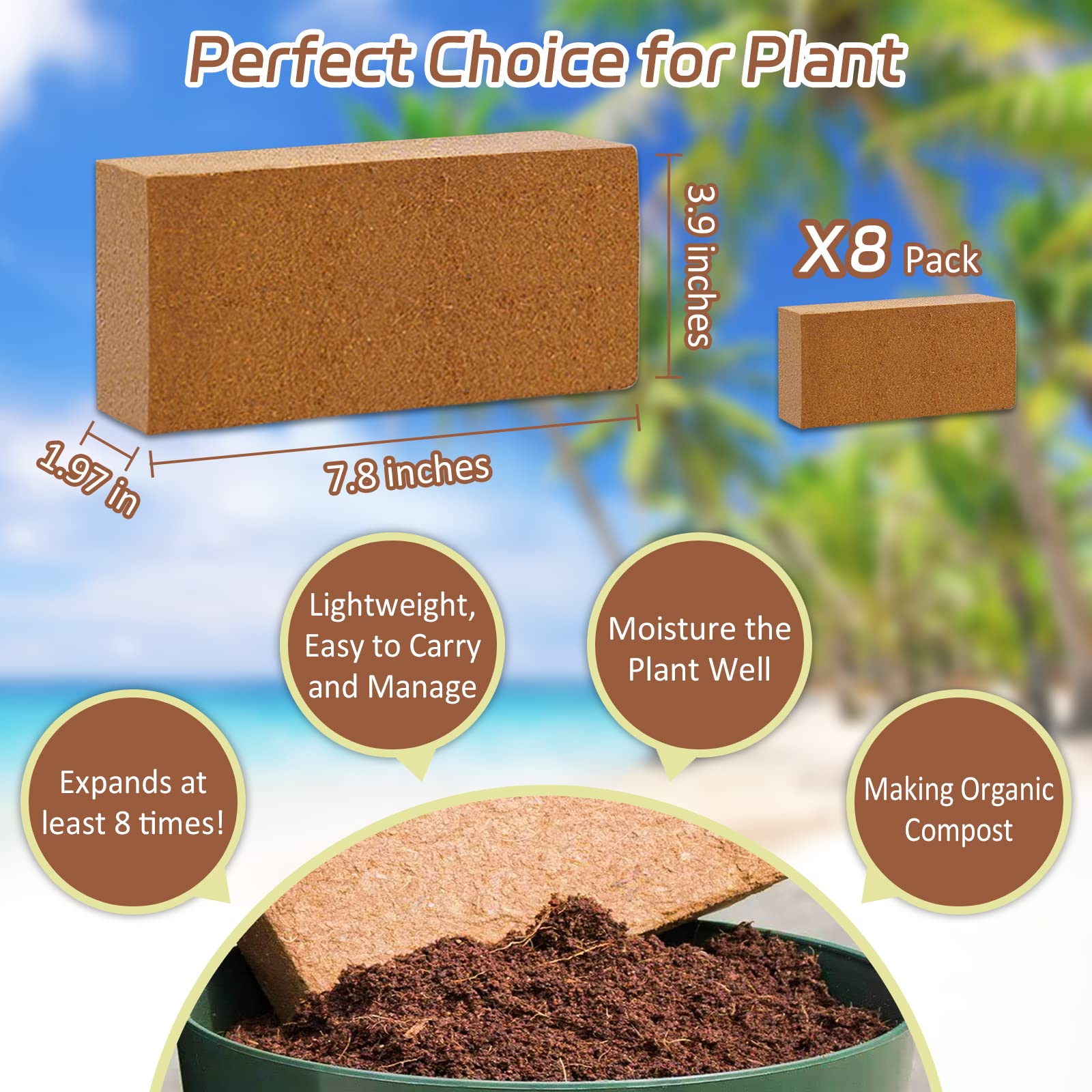 Riare coco coir bricks dry and compact before expansion