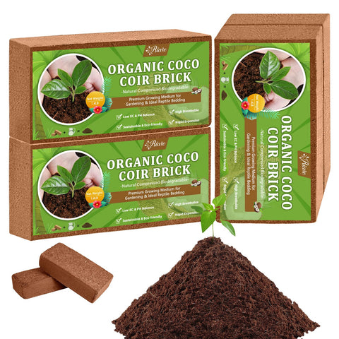 Riare Coco Coir Bricks four-pack expands into rich soil for pots.