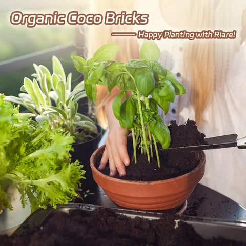 Riare coco coir bricks apply to raised beds and microgreens in gardens.