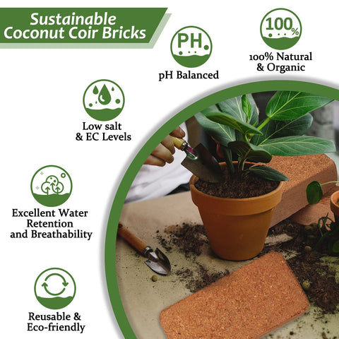 Riare Coco Coir Bricks offer low EC and balanced pH for healthy roots.