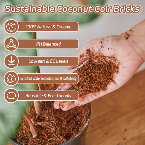 Riare coco coir bricks demonstrate moisture retention and airy texture.