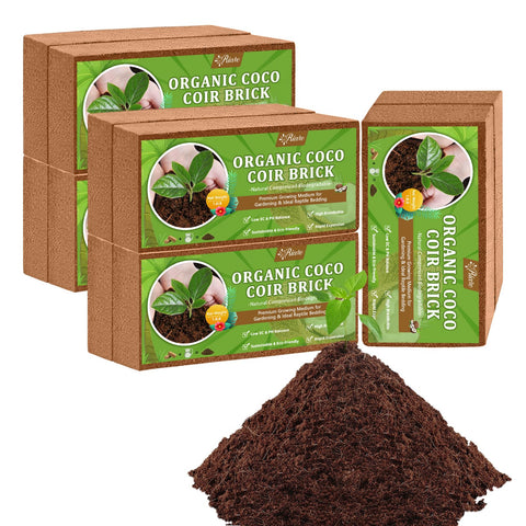 Riare coco coir brick pack expands into ready-to-use soil for seedlings.