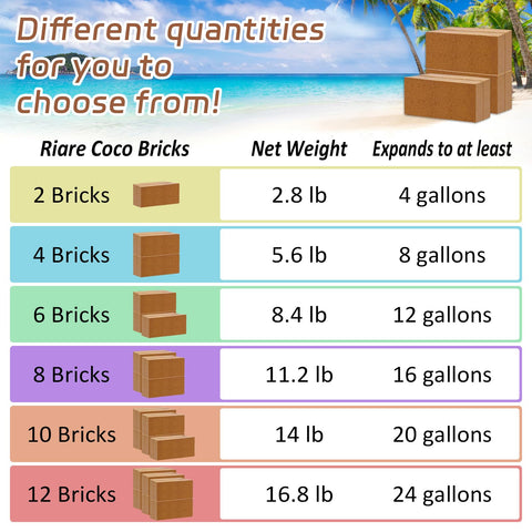 Riare coco coir bricks in seedling setup promote healthy root growth.