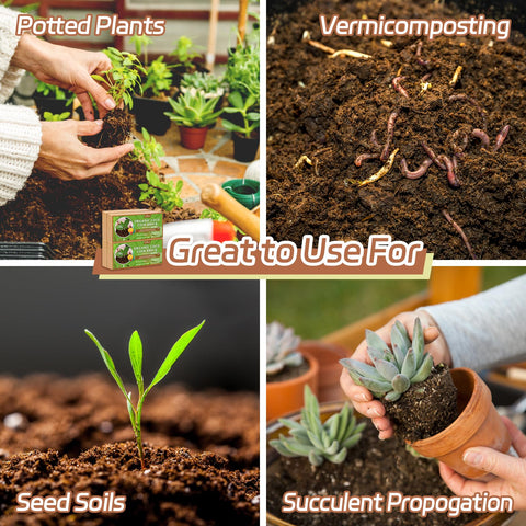 Riare coco coir bricks illustrate sustainable growing medium for gardens.