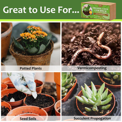 Riare Coco Coir Bricks versatile for gardening, microgreens, and vermicompost.