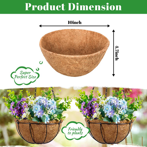 Riare coco liner in basket display ready for planting.