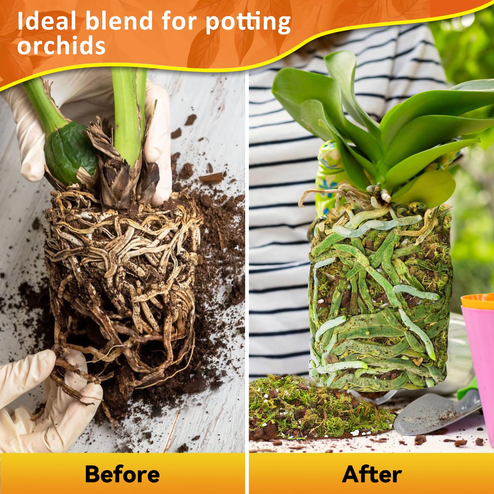 Riare coco peat detail showing nutrient-rich moisture retention for orchids.