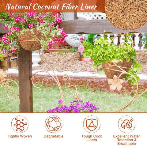 Riare coco liner showing water retention and airflow benefits for healthy roots