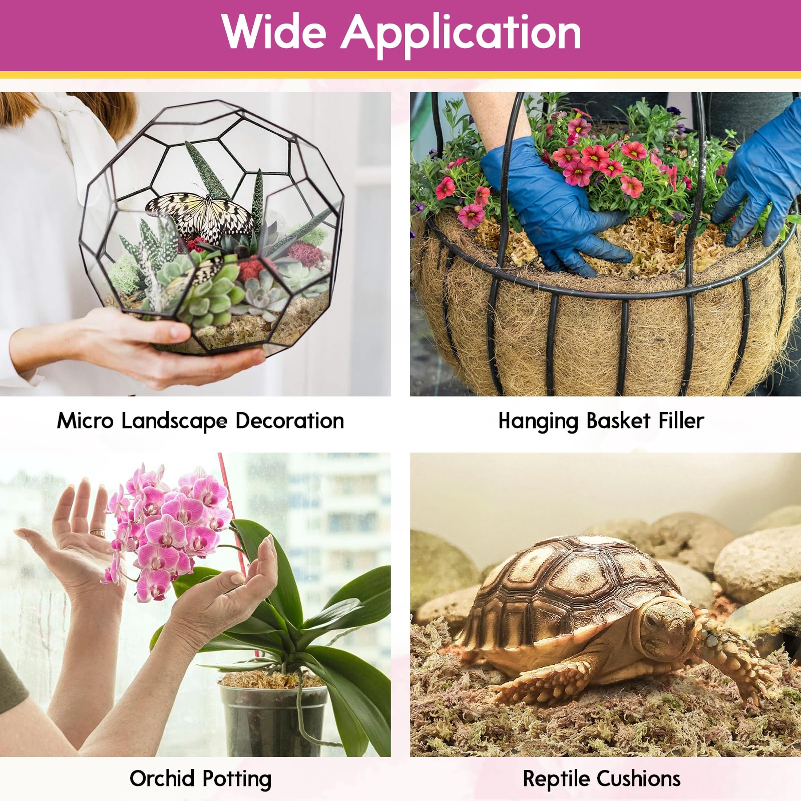 Riare dried moss for crafts and decorative terrariums
