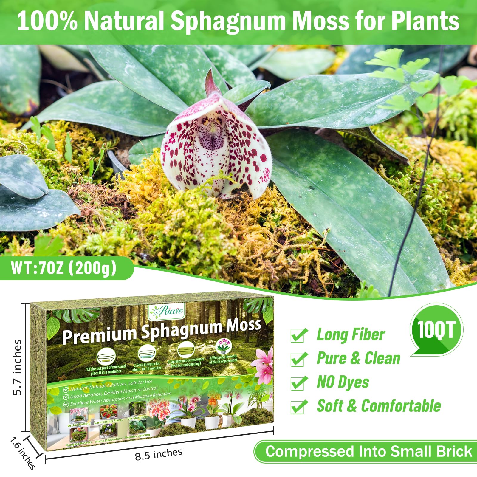 Riare dried moss expands to 10 quarts after soaking, perfect for repotting projects.