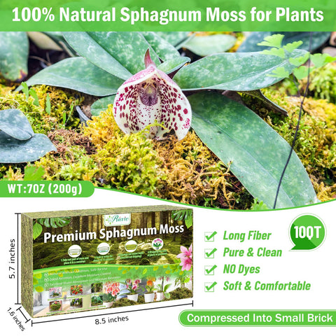 Riare dried moss expands to 10 quarts after soaking, perfect for repotting projects.