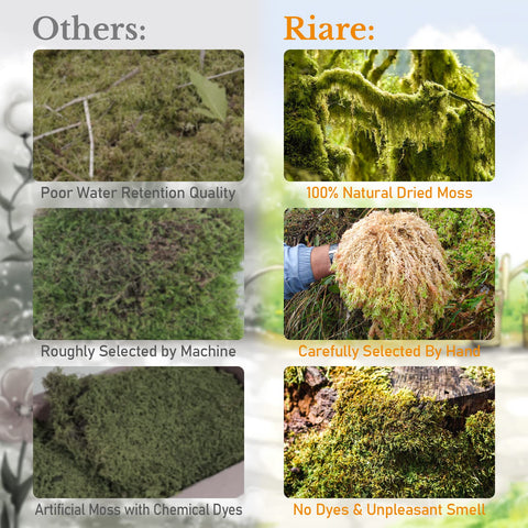 Riare dried moss ready to hydrate and expand for bulk potting.