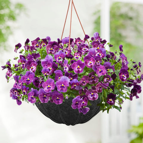 Riare liner kit enables quick, mess-free installation in hanging baskets