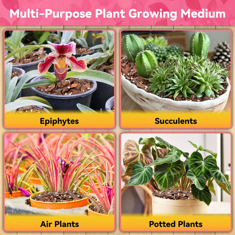 Riare orchid mix supports drainage, ventilation, and root expansion during seasonal repotting.