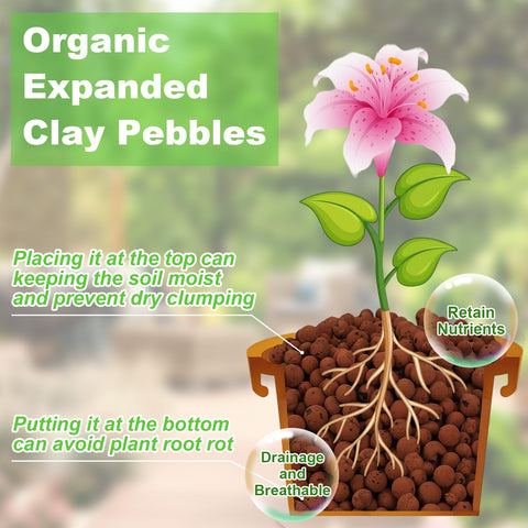 Riare expanded clay pebbles texture shown for light, neutral pH growing medium.