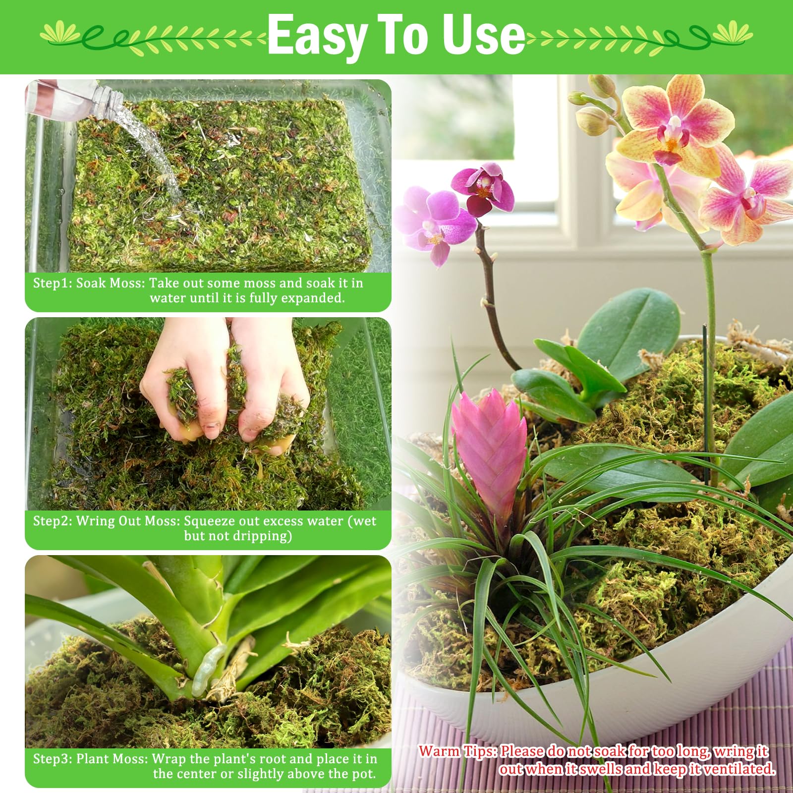 Riare expanded moss after soaking delivering improved drainage for pots.