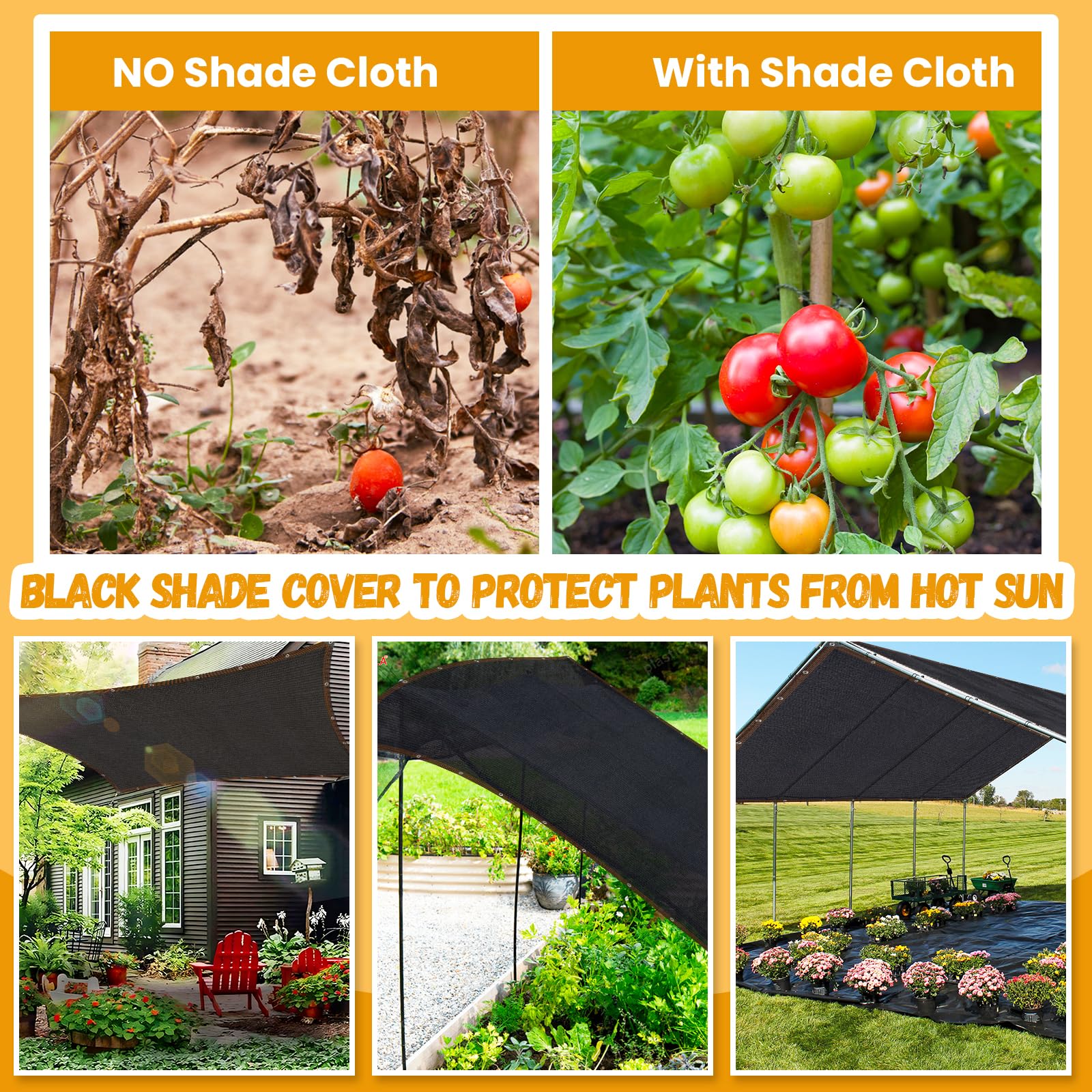 Riare garden and patio shade solution for outdoor spaces.