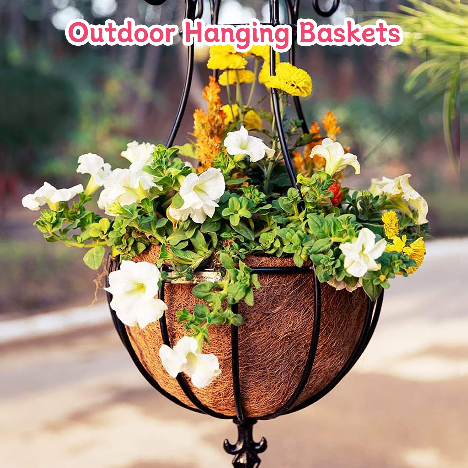 Riare hanging-basket setup with liner for a tidy, natural display.