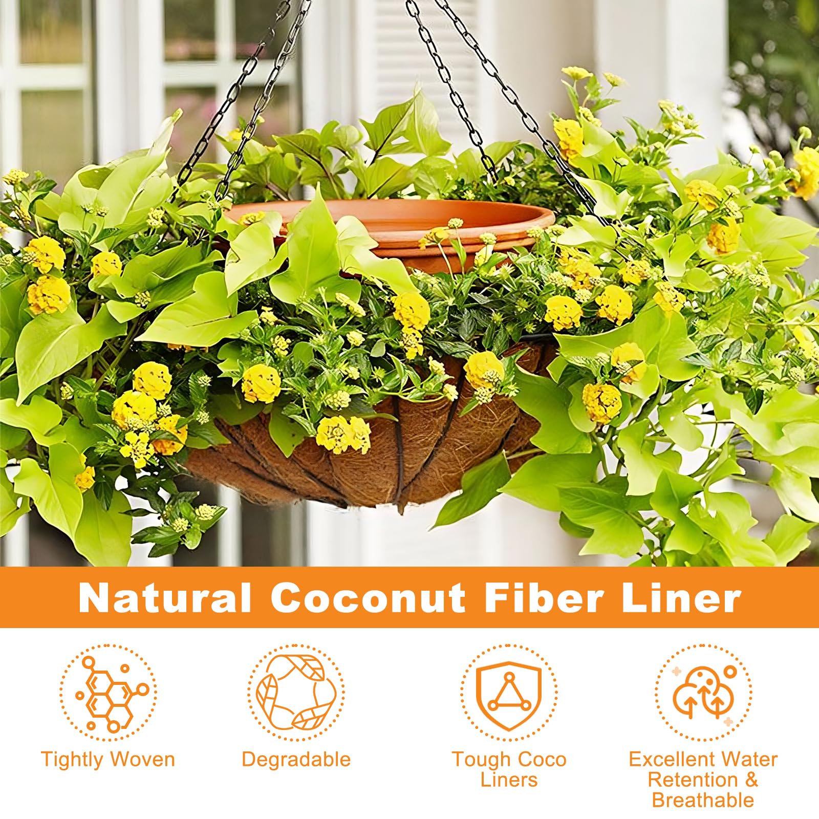 Riare hanging basket setup with coco liner, easy reshaping for custom sizes.