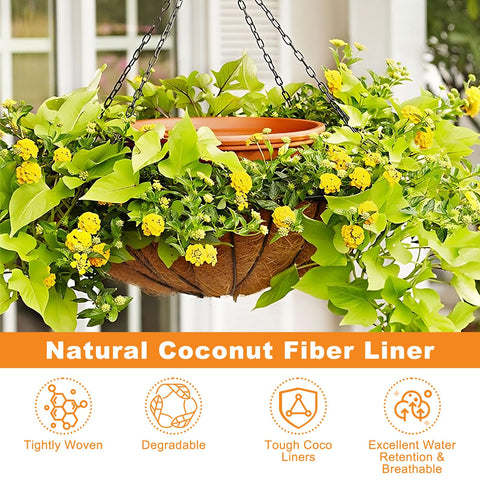 Riare hanging basket setup with coco liner, easy reshaping for custom sizes.
