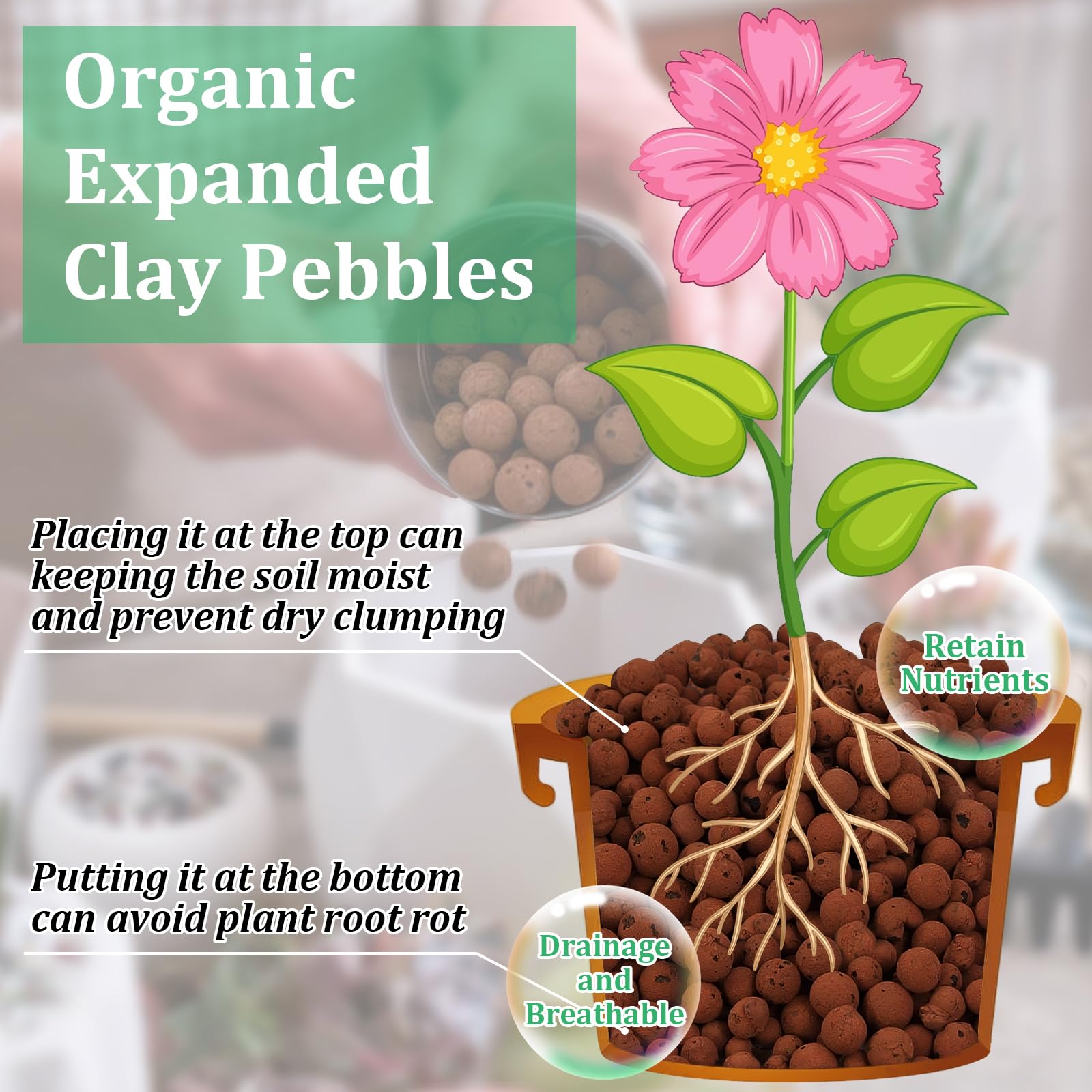 Riare Leca balls in pot demonstrating drainage and root aeration.