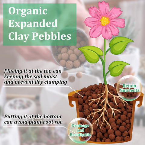 Riare Leca balls in pot demonstrating drainage and root aeration.