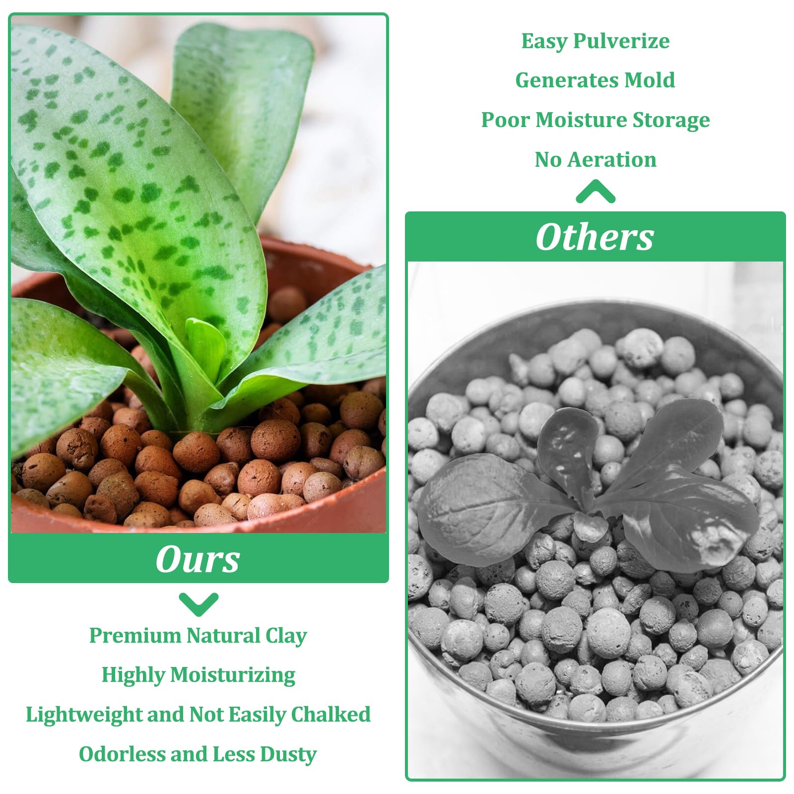 Riare Leca at the pot bottom improves drainage and moisture balance.