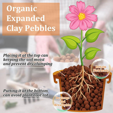 Riare leca pebbles bottom drainage in pot supports healthy root growth