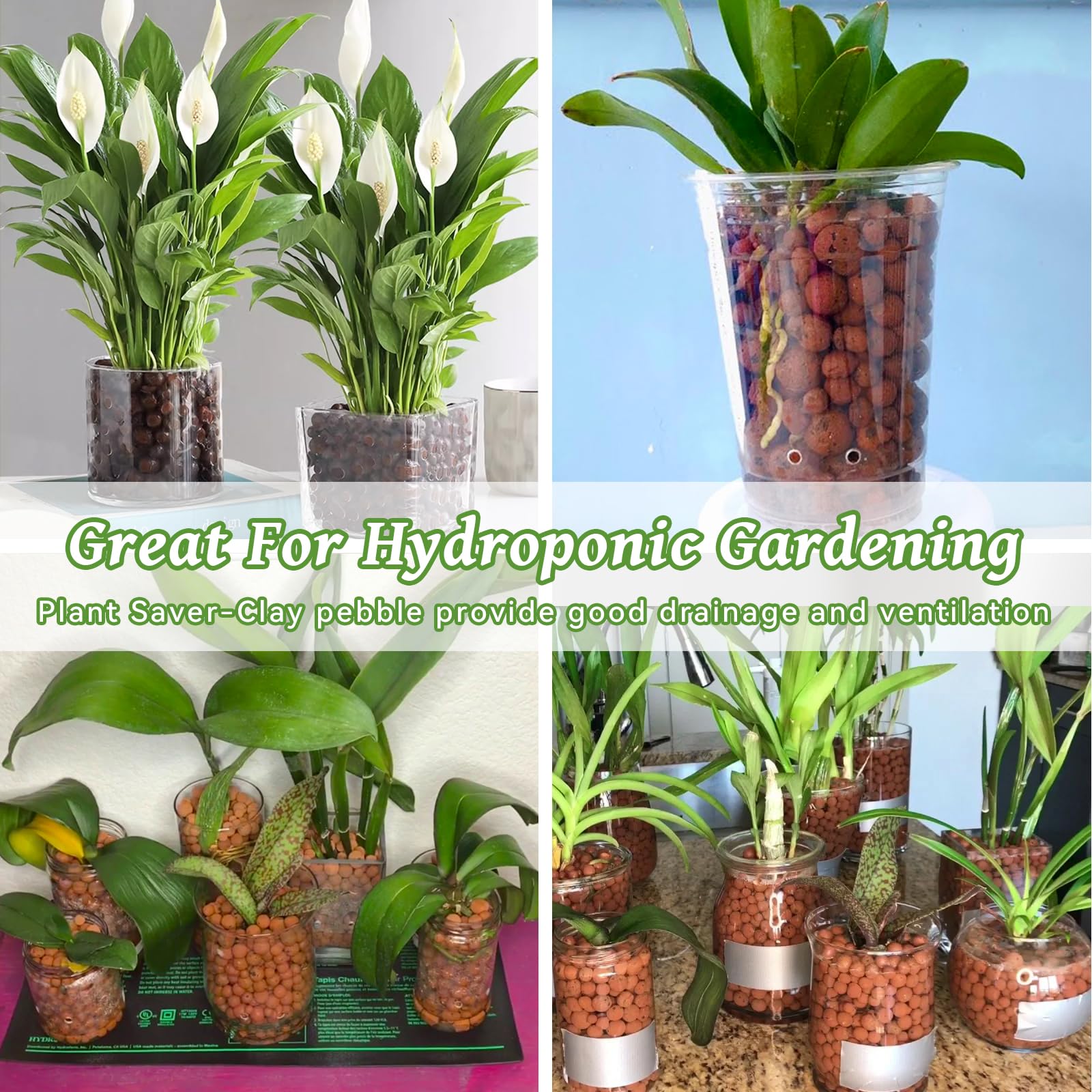 Riare Leca pebbles odorless, low-dust option for clean setup.