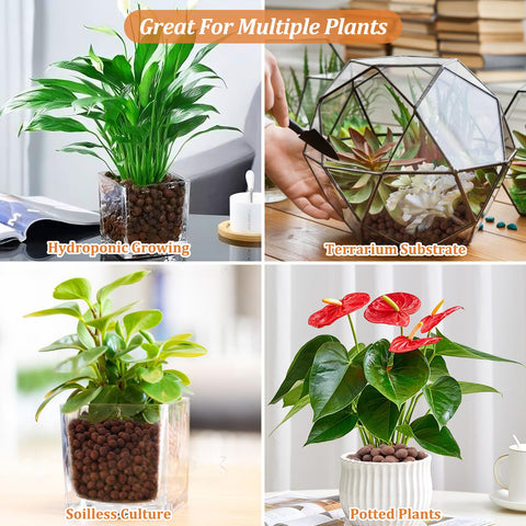 Riare leca pebbles decorative pot soil for plant displays