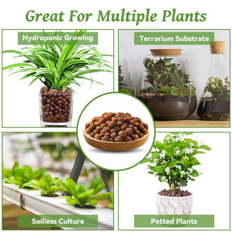Riare leca pebbles in a planting setup promoting easy watering.