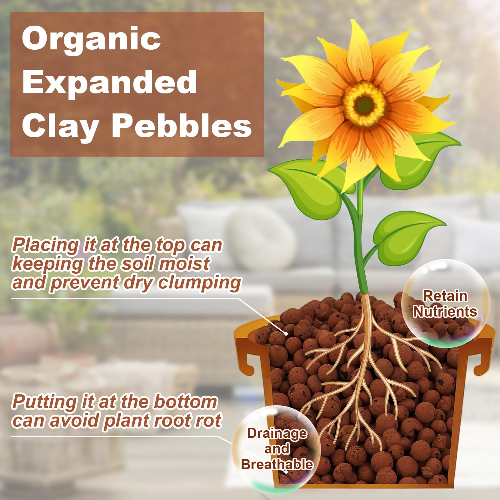 Riare leca pebbles texture close-up highlights porous surface for drainage and aeration.