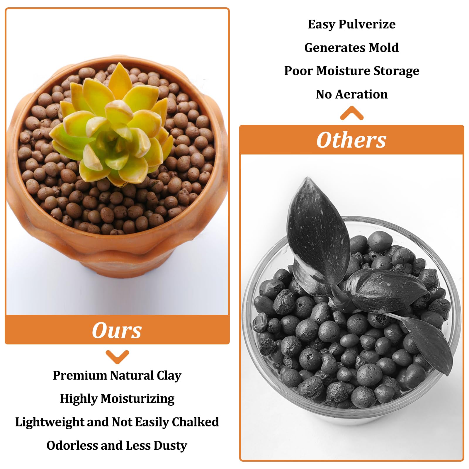 Riare leca pebbles top layer maintains moisture while adding decorative appeal