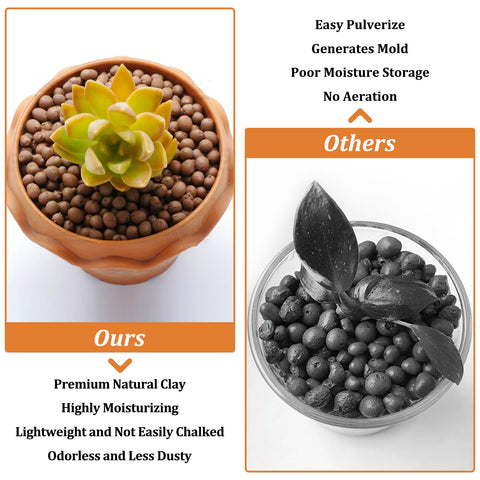Riare leca pebbles top layer maintains moisture while adding decorative appeal