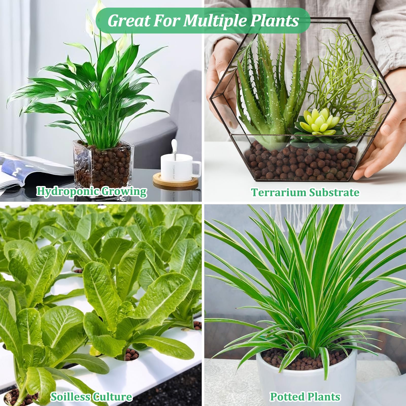 Riare Leca top-dressing decor in planter adds texture.