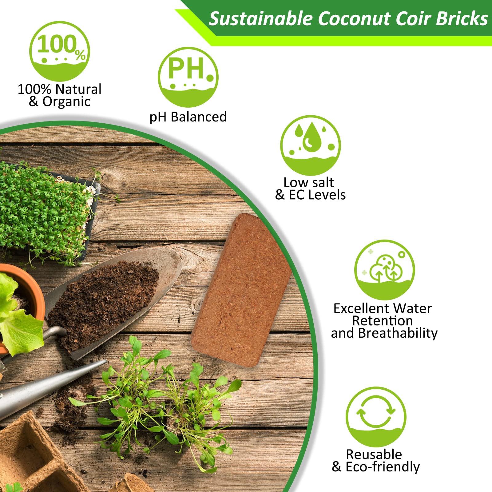 Riare coco coir bricks with low EC and balanced pH for healthy roots