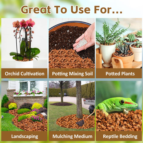 Riare coco chips mixed with potting soil for versatile planting