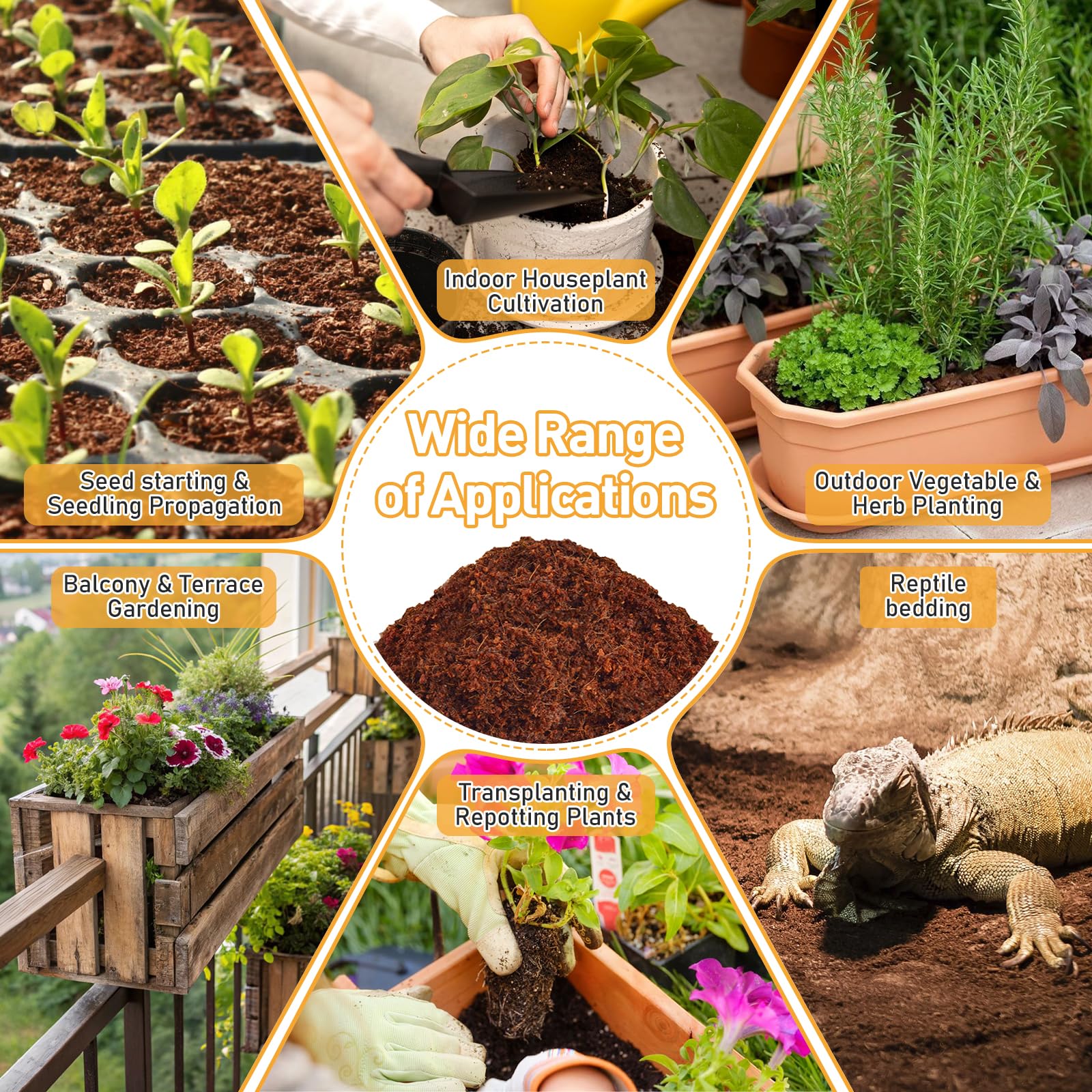 Riare coco coir pellet moisture lock aids steady seedling hydration.