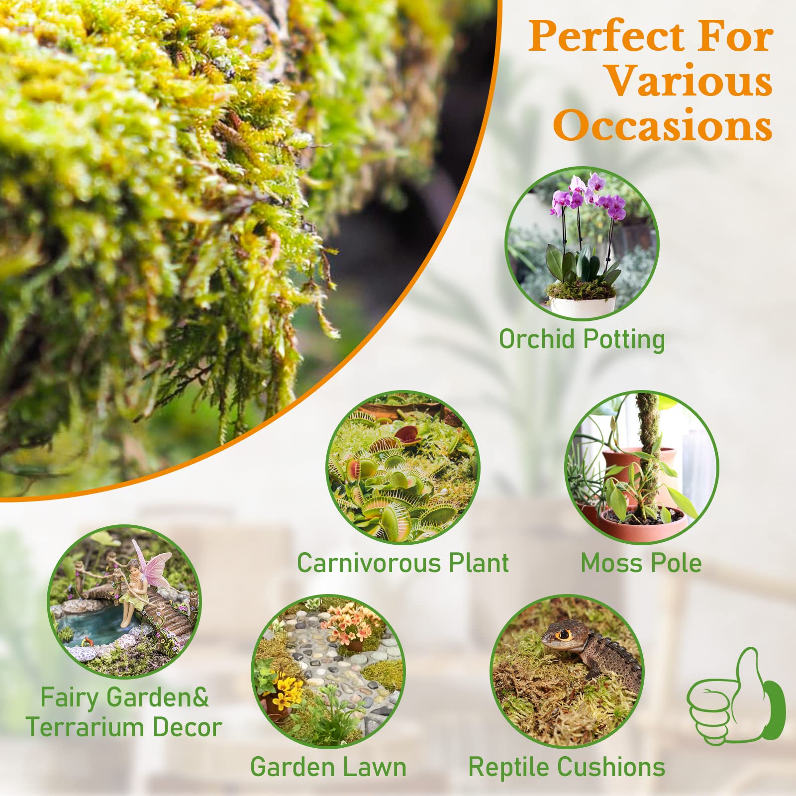 Riare moisture retention image emphasizes moss's ability to hold water.