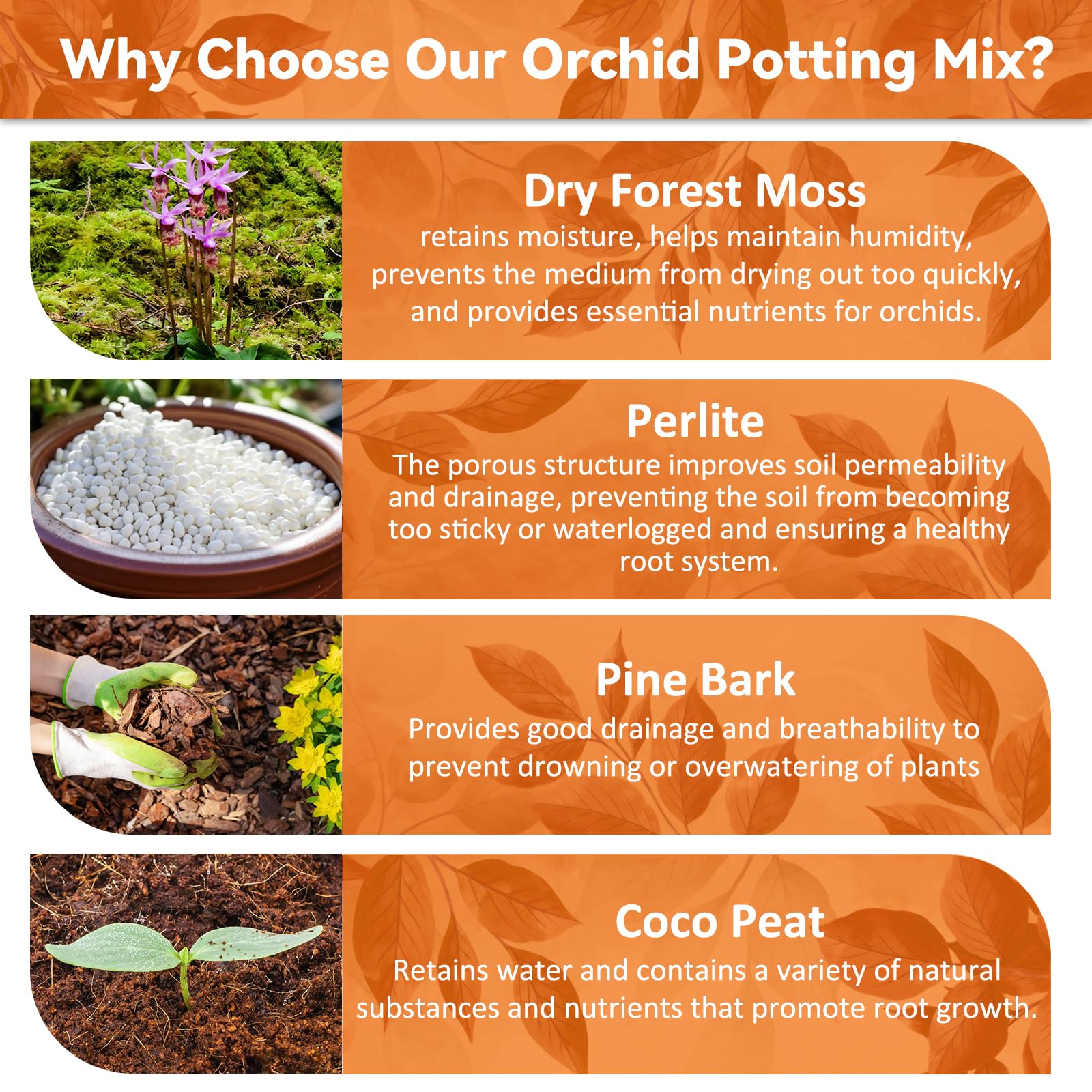 Riare moss and bark blend close-up highlighting natural texture for epiphytic orchids.