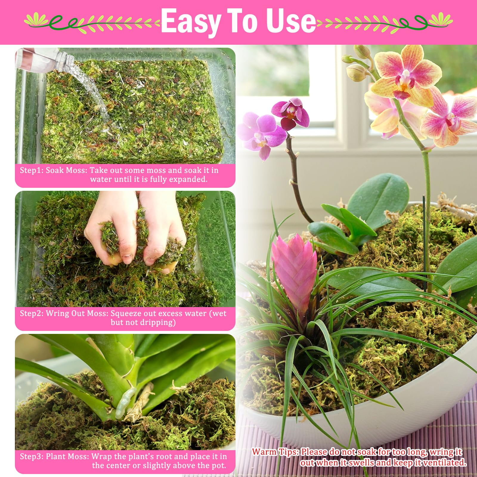 Riare moss enhances DIY crafts and home decor with a natural green appearance