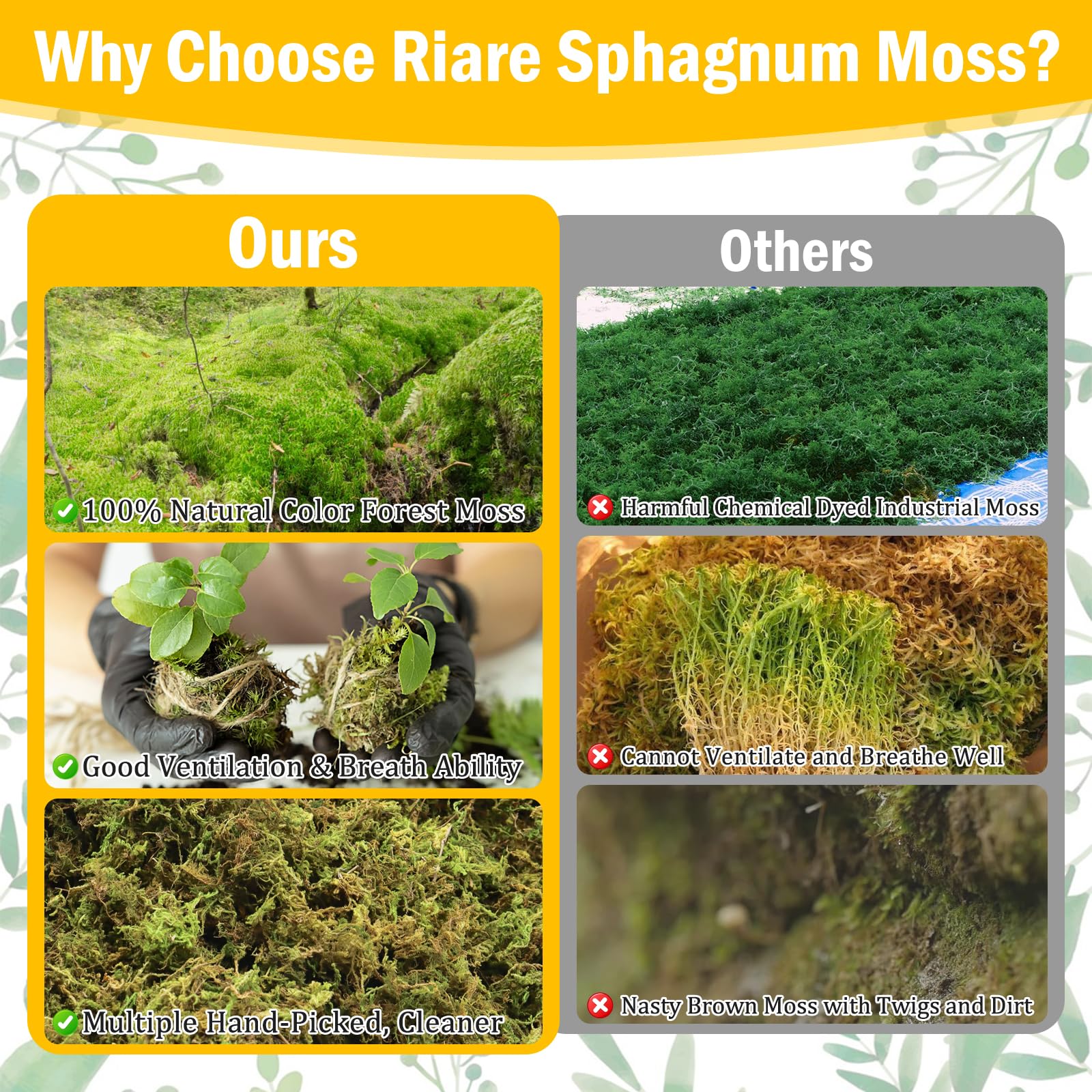 Riare moss for DIY decorations enhances natural green texture
