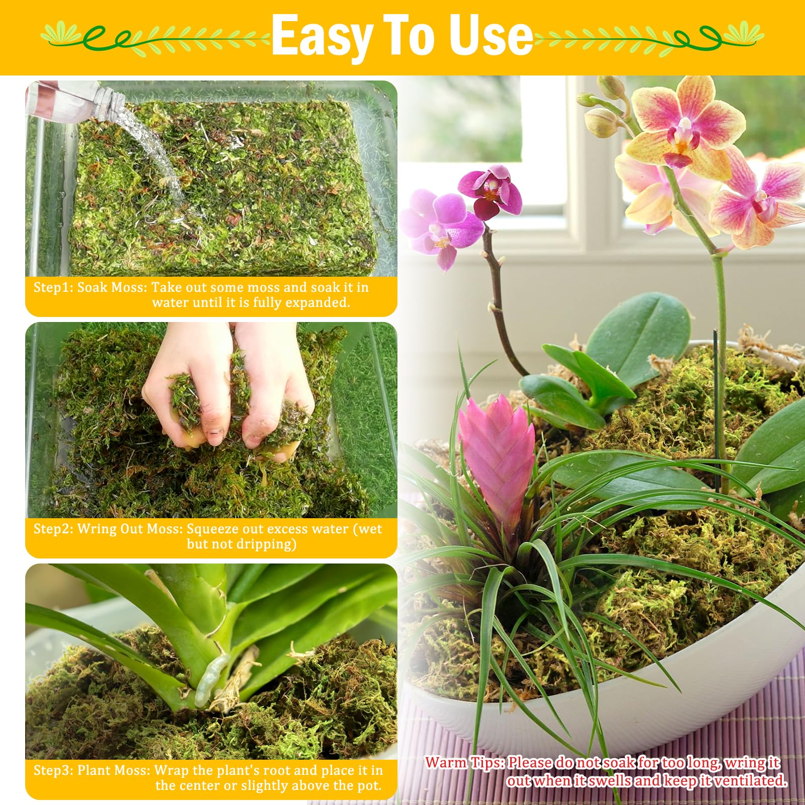 Riare moss supports succulents and carnivorous plants with moisture balance