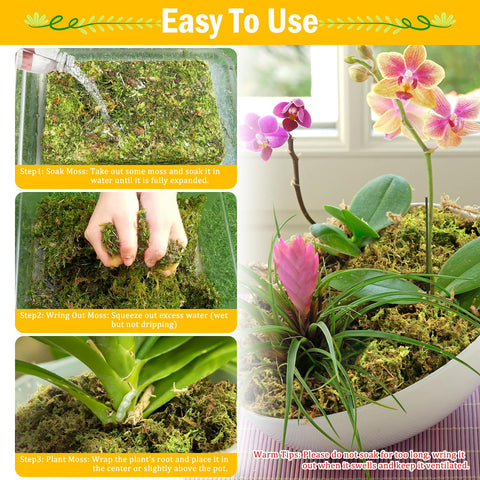 Riare moss supports succulents and carnivorous plants with moisture balance